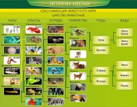 Стенд "Систематика животных" - fgospostavki.ru - Ижевск