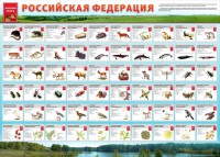 Стенд "Красная книга РФ" - fgospostavki.ru - Ижевск