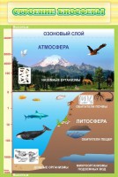 Стенд "Строение биосферы" - fgospostavki.ru - Ижевск