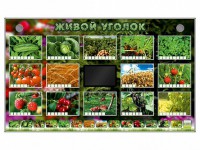Комплект оборудования "Живой уголок" (растения) - fgospostavki.ru - Ижевск