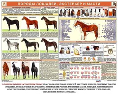Комплект плакатов "Служебное коневодство" - fgospostavki.ru - Ижевск