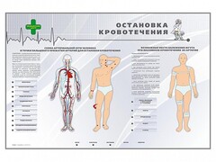 Электрифицированный стенд "Остановка кровотечения" - fgospostavki.ru - Ижевск