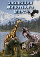 DVD "Эволюция животного мира" - fgospostavki.ru - Ижевск