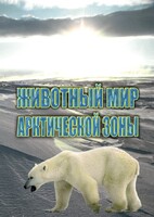 DVD "Животный мир Арктической зоны" - fgospostavki.ru - Ижевск