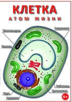 DVD "Клетка - "атом жизни" - fgospostavki.ru - Ижевск