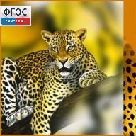 Зоология. (Цифровая база изображений) - fgospostavki.ru - Ижевск