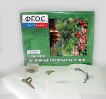 Гербарий "Основные группы растений" (52 листа) - fgospostavki.ru - Ижевск