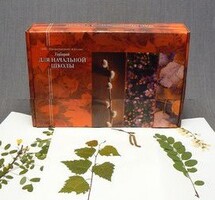 Гербарий для Начальной школы (28 видов) - fgospostavki.ru - Ижевск