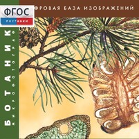 Ботаника. Микрофотографии. (Цифровая база изображений) - fgospostavki.ru - Ижевск