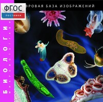Биология. Микрофотографии. (Цифровая база изображений) - fgospostavki.ru - Ижевск