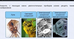 Интерактивные курсы. Биология 5 класс. Расширенный - fgospostavki.ru - Ижевск