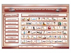Трехсекционный базовый комплект "Травмы. Кровотечения. Ожоги" для учащихся общеобразовательных учреждений - fgospostavki.ru - Ижевск