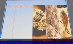 Коллекция "Палеонтологическая" (16 образцов) - fgospostavki.ru - Ижевск