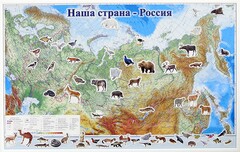 Магнитные карточки "Животные" - fgospostavki.ru - Ижевск