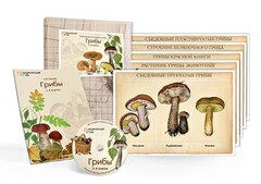 Комбинированное наглядное пособие  «Грибы» - fgospostavki.ru - Ижевск