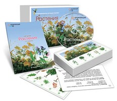 Комбинированное наглядное пособие «Растения» - fgospostavki.ru - Ижевск