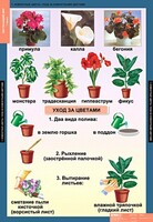 Комплект таблиц. Окружающий мир 1 класс. - fgospostavki.ru - Ижевск