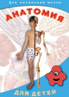 DVD "Анатомия для детей" - fgospostavki.ru - Ижевск