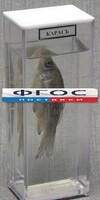 Влажный препарат "Карась" - fgospostavki.ru - Ижевск