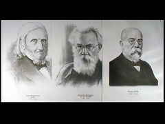 Портреты биологов (26 штук, формат А3) - fgospostavki.ru - Ижевск