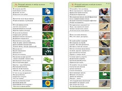 Комплект карточек (10) "Обучающий калейдоскоп. Природа" - fgospostavki.ru - Ижевск
