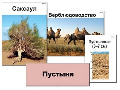 Модель-аппликация "Природные зоны России" (ламинированная) - fgospostavki.ru - Ижевск