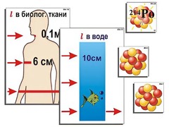 Модель-аппликация "Явление радиоактивности" (ламинированная) - fgospostavki.ru - Ижевск