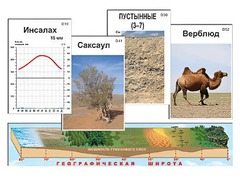 Модель-аппликация "Природные зоны" - fgospostavki.ru - Ижевск