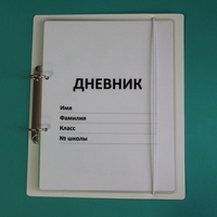 Дневник школьника (с полным набором карточек) - fgospostavki.ru - Ижевск