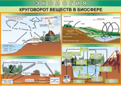 Таблица "Круговорот веществ в биосфере" (100х140 сантиметров, винил) - fgospostavki.ru - Ижевск