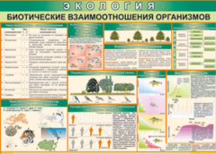 Таблица "Биотические взаимоотношения организмов" (100х140 сантиметров, винил) - fgospostavki.ru - Ижевск