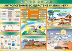 Таблица "Антропогенное воздействие на биосферу" (100х140 сантиметров, винил) - fgospostavki.ru - Ижевск