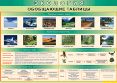 Таблица "Экология. Обобщающие таблицы" (100х140 сантиметров, винил) - fgospostavki.ru - Ижевск