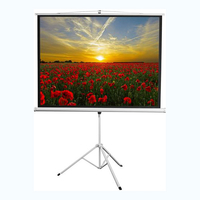 Экран на штативе DSKD-4303 - fgospostavki.ru - Ижевск