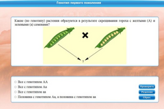 Интерактивные курсы. Биология 11 класс. Базовый. - fgospostavki.ru - Ижевск