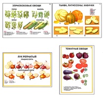 Плакаты ПРОФТЕХ "Ассортимент овощных культур" (12 пл, винил, 70х100) - fgospostavki.ru - Ижевск
