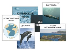 Модель-аппликация "Океаны. Знакомство" (ламинированная) - fgospostavki.ru - Ижевск