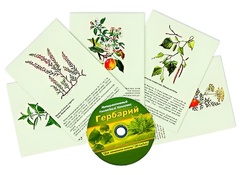Интерактивный наглядный комплекс "Гербарий "Для начальной школы" - fgospostavki.ru - Ижевск