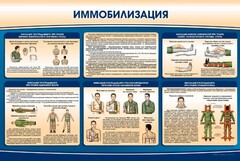 Стенд "Иммобилизация" - fgospostavki.ru - Ижевск