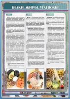 Стенд "Белки. Жиры. Углеводы" - fgospostavki.ru - Ижевск