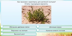 Интерактивные курсы. Окружающий мир 3 класс . Базовый. - fgospostavki.ru - Ижевск