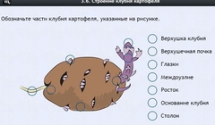 Интерактивные курсы. Биология 6 класс. Расширенный - fgospostavki.ru - Ижевск