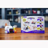 Робот Botzees Mini - fgospostavki.ru - Ижевск