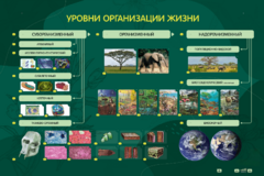 Электрифицированный стенд "Уровни организации жизни" - fgospostavki.ru - Ижевск