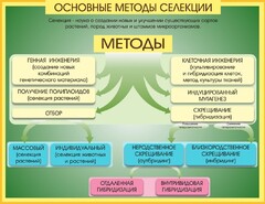Стенд "Методы селекции и биотехнологии" - fgospostavki.ru - Ижевск