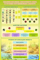 Стенд "Классификация животного мира" - fgospostavki.ru - Ижевск