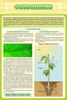 Стенд "Фотосинтез" - fgospostavki.ru - Ижевск