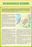 Стенд "Биосинтез белка" - fgospostavki.ru - Ижевск