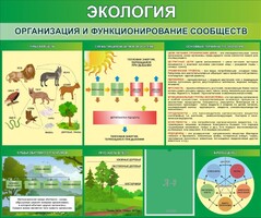 Стенд "Экология. Организация и функционирование сообществ" - fgospostavki.ru - Ижевск