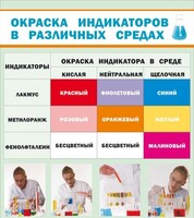 Стенд "Окраска индикаторов в различных средах" - fgospostavki.ru - Ижевск
